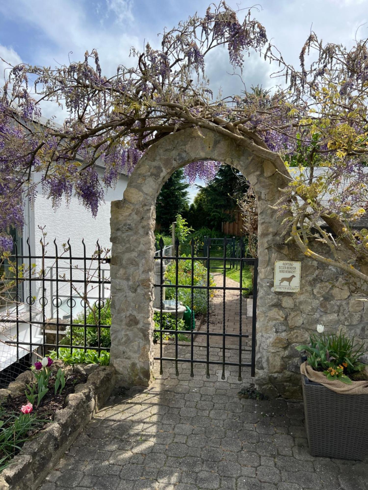 Haigerloch Souterrain Ferienwohnung מראה חיצוני תמונה